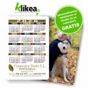 Calendario bolsillo cartón 2026