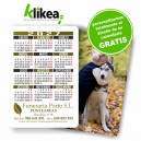 Calendario bolsillo cart&oacute;n 2026