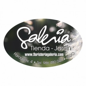 Etiquetas bobina polipropileno 55x34mm