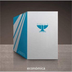 Carpeta Comercial Econ&oacute;mica
